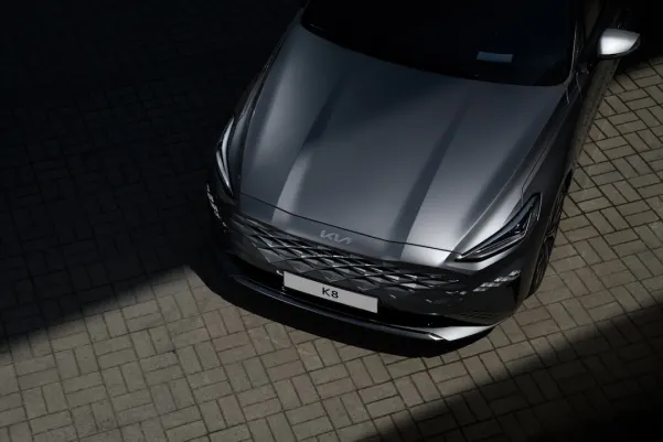 בינגו בילי קזינו אפליקציית Android/iOS